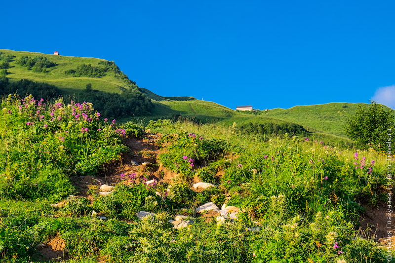 Ломиси, Казбеги, Грузия Ломиси, Казбеги, Грузия