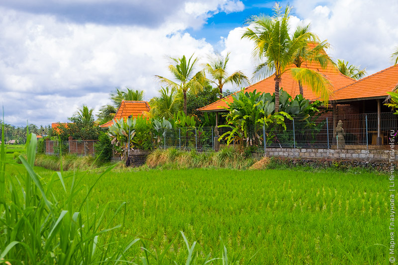Suarti Boutique Village Ubud – аутентичные виллы в яванском стиле на Бали