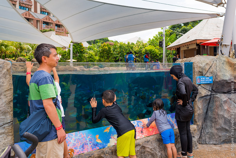 Adventure Cove Waterpark – аквапарк для детей в Сингапуре Adventure Cove Waterpark – аквапарк для детей в Сингапуре