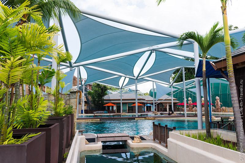 Adventure Cove Waterpark – аквапарк для детей в Сингапуре Adventure Cove Waterpark – аквапарк для детей в Сингапуре