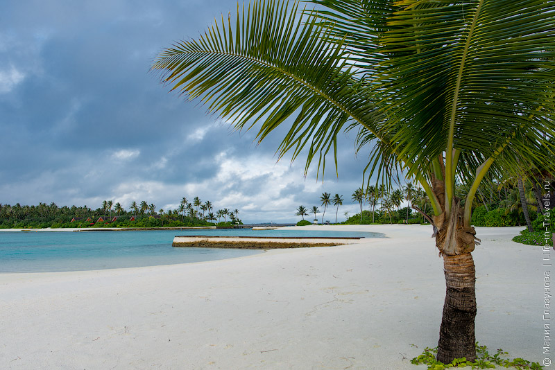 Niyama Private Islands Maldives – райский отдых на Мальдивах Niyama Private Islands Maldives – райский отдых на Мальдивах