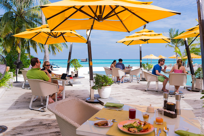 Niyama Private Islands Maldives – райский отдых на Мальдивах Niyama Private Islands Maldives – райский отдых на Мальдивах