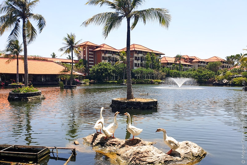 Bali2019-2-110113 Ayodya Resort Bali – хороший отель 5* на первой линии в Нуса Дуа